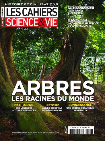 Les Cahiers Science & Vie N° 207